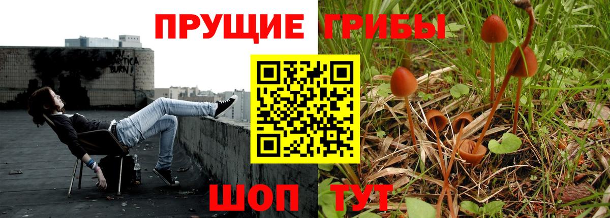 Нижний Новгород  Псилоцибиновые грибы Psilocybine cubensis  Вход с VPN 